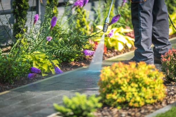 Best Oil and Grease Removal from Surfaces in St Croix Falls, WI