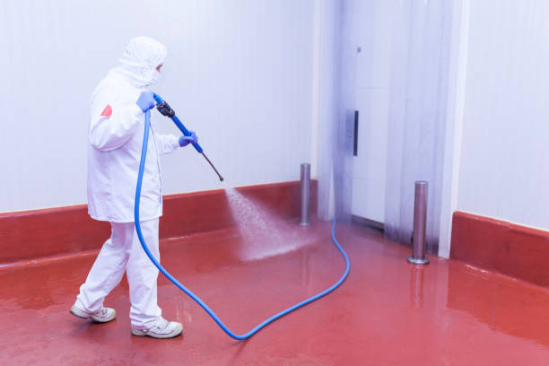 Best Deck and Patio Pressure Washing in St Croix Falls, WI